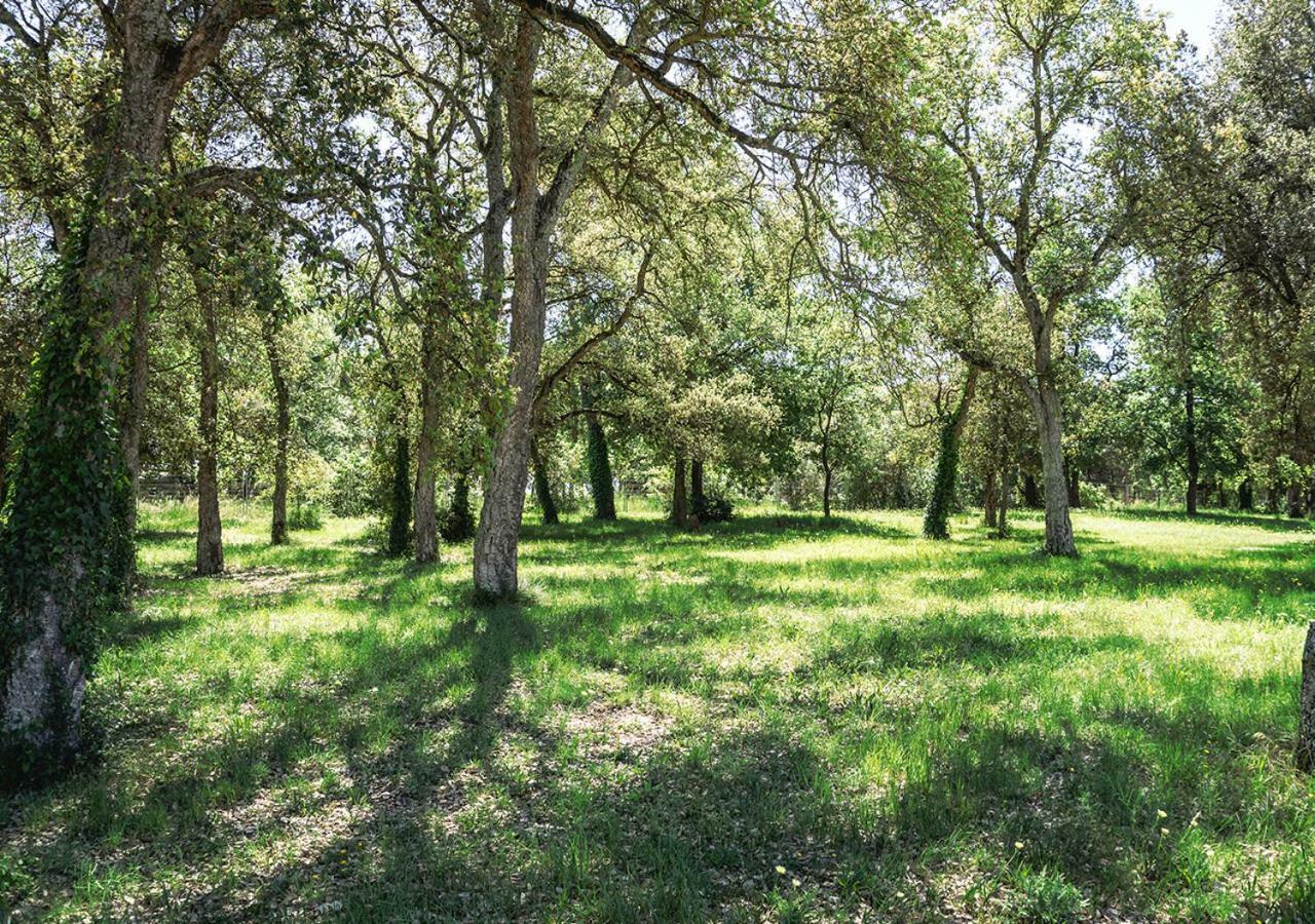 Masia Can Solà Gros Caldes de Malavella Esterno foto